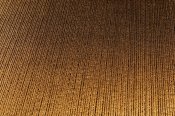 LL ALIGNED Gold