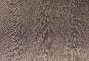 LL CURVED Silver
