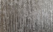 LL persian metallic