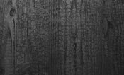 wl carbonized wood nature