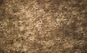 SL impact antique bronze